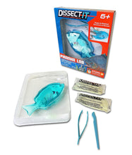 Load image into Gallery viewer, Top Secret Toys - Dissect It: A Synthetic Piranha Dissection Kit, LARGE