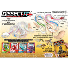 Load image into Gallery viewer, Top Secret Toys - Dissect It: A Synthetic Rattlesnake Dissection Kit