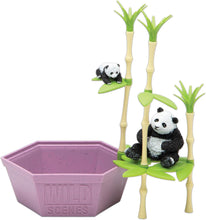 Load image into Gallery viewer, PlayMonster - Wild Scenes: Pandas' Bamboo Forest Grow & Play Kit