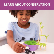 Load image into Gallery viewer, PlayMonster - Wild Scenes: Pandas' Bamboo Forest Grow & Play Kit