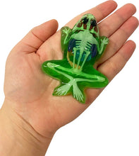 Load image into Gallery viewer, Top Secret Toys - Dissect It: A Synthetic Frog Dissection Kit, MINI