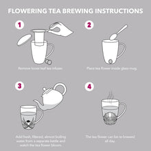 Load image into Gallery viewer, Teabloom Venice Double Wall Glass Mug with Infuser & Lid