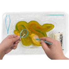 Load image into Gallery viewer, Top Secret Toys - Dissect It: A Synthetic Rattlesnake Dissection Kit