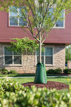 Load image into Gallery viewer, Treegator Original Slow Release Watering Bag for Trees, 1 Bag