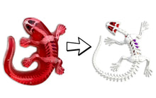 Load image into Gallery viewer, Top Secret Toys - Dissect It: A Synthetic Salamander Dissection Kit, MINI