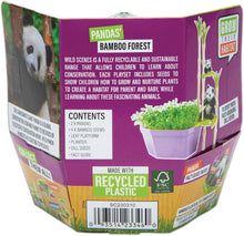 Load image into Gallery viewer, PlayMonster - Wild Scenes: Pandas' Bamboo Forest Grow & Play Kit