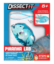 Load image into Gallery viewer, Top Secret Toys - Dissect It: A Synthetic Piranha Dissection Kit, LARGE
