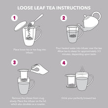 Load image into Gallery viewer, Teabloom Venice Double Wall Glass Mug with Infuser & Lid