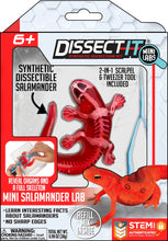 Load image into Gallery viewer, Top Secret Toys - Dissect It: A Synthetic Salamander Dissection Kit, MINI