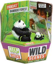 Load image into Gallery viewer, PlayMonster - Wild Scenes: Pandas' Bamboo Forest Grow & Play Kit