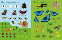 Load image into Gallery viewer, Usborne First Sticker Book - BUGS