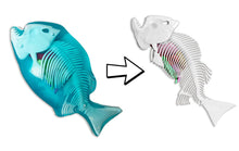 Load image into Gallery viewer, Top Secret Toys - Dissect It: A Synthetic Piranha Dissection Kit, LARGE