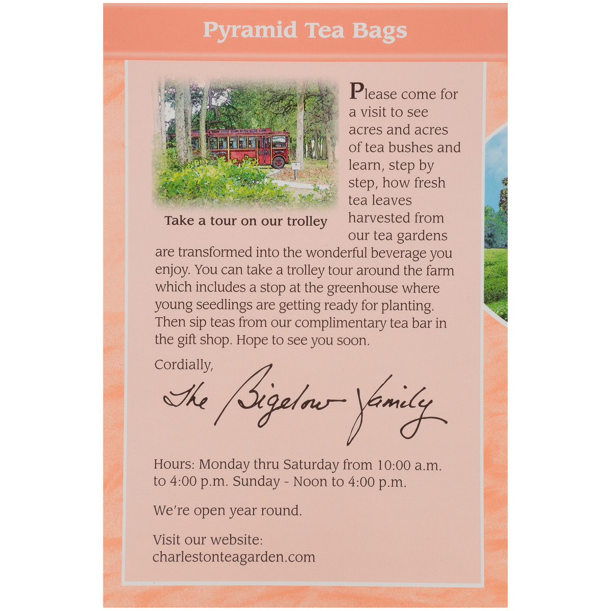 Charleston Tea Garden Peachy Peach Pyramid Teabags 12 Count Myriads Gifts