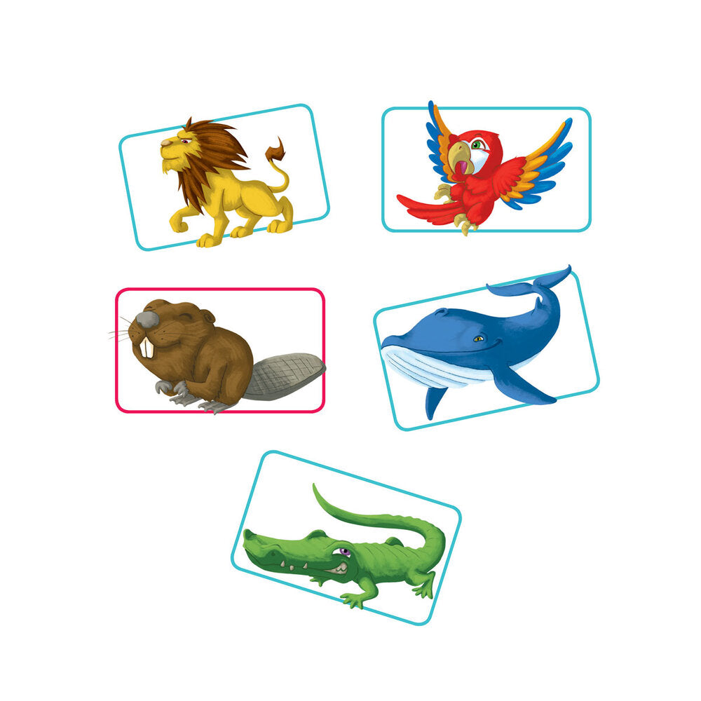 Concept Kids: Animals – Myriads Gifts
