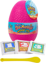 Load image into Gallery viewer, Schylling Sea-Monkeys® Egg Instant Life - World&#39;s Only Instant Pets®, 1 Count