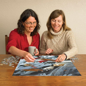 Cobble Hill 1000 Piece Family Jigsaw Puzzle - Bird Watchers (Poster Included)