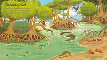 Load image into Gallery viewer, Usborne Lift-the-Flap Look Inside: SEAS AND OCEANS