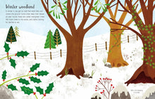 Load image into Gallery viewer, Usborne First Sticker Book - SEASONS