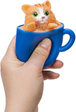 Load image into Gallery viewer, Schylling Pop-A-Chino: Kitties, 1 Count