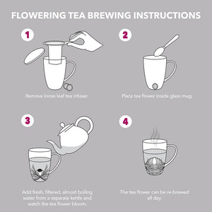 Teabloom Venice Double Wall Glass Mug with Infuser & Lid