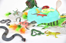 Load image into Gallery viewer, Reptile Figure Play Bucket – 43 Assorted Lizards and Educational Accessories Toy Play Set