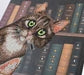 Crystal Art Diamond Painting Notebook - Cats in The Library