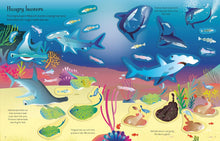 Load image into Gallery viewer, Usborne First Sticker Book - SHARKS and RAYS