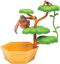 Load image into Gallery viewer, PlayMonster - Wild Scenes: Orangutans’ Treetop Adventure Grow &amp; Play Kit