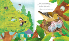 Load image into Gallery viewer, Usborne Peek InsideTouch-and-Feel Board Book: SPRINGTIME