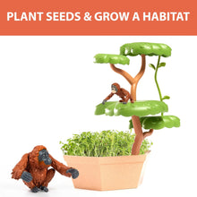 Load image into Gallery viewer, PlayMonster - Wild Scenes: Orangutans’ Treetop Adventure Grow &amp; Play Kit