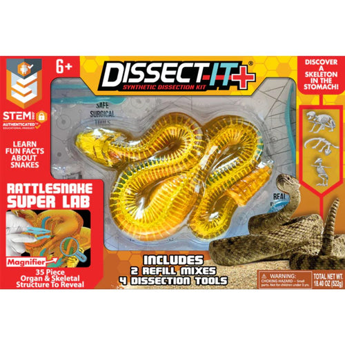 Top Secret Toys Dissect It: A Synthetic Rattlesnake Dissection Kit, Hands-On STEM Learning for Kids, Ages 6+