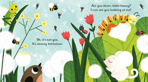 Usborne Little Peek Through Books - Are You There Little Bunny?