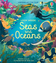 Load image into Gallery viewer, Usborne Lift-the-Flap Look Inside: SEAS AND OCEANS