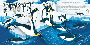Usborne Pop-Up Hardback Book - BIRDS