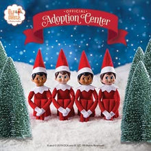 Load image into Gallery viewer, The Elf on the Shelf - Una Tradición Navideña Spanish Language Book &amp; Blue-Eyed Boy Scout Elf
