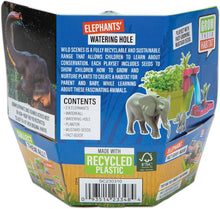 Load image into Gallery viewer, PlayMonster - Wild Scenes: Elephants’ Watering Hole Grow &amp; Play Kit