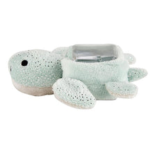 Load image into Gallery viewer, Stephan Baby Boo-Bunnie Comfort Toy - Gentle Sea Turtle