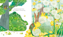 Load image into Gallery viewer, Usborne Peek InsideTouch-and-Feel Board Book: SPRINGTIME