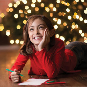The Elf on the Shelf - Scout Elf Express Delivers Letters to Santa Mini