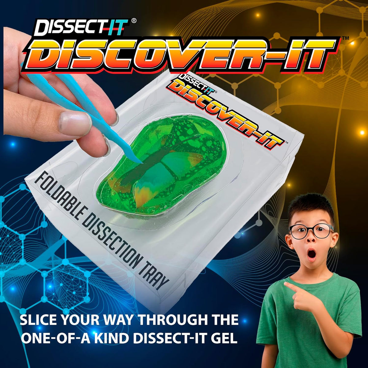 Dissect-It Mini Butterfly Chrysalis Lab – Myriads Gifts