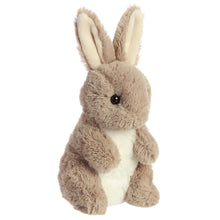 Load image into Gallery viewer, Aurora 7&quot; Biddy Bunny Taupe Plush