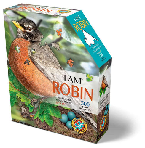 I AM ROBIN 300 PUZZLE