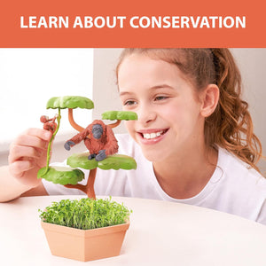 PlayMonster - Wild Scenes: Orangutans’ Treetop Adventure Grow & Play Kit