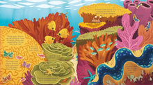 Load image into Gallery viewer, Usborne Lift-the-Flap Look Inside: SEAS AND OCEANS