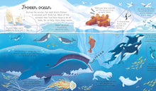 Load image into Gallery viewer, Usborne Lift-the-Flap Look Inside: SEAS AND OCEANS