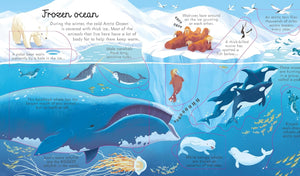 Usborne Lift-the-Flap Look Inside: SEAS AND OCEANS