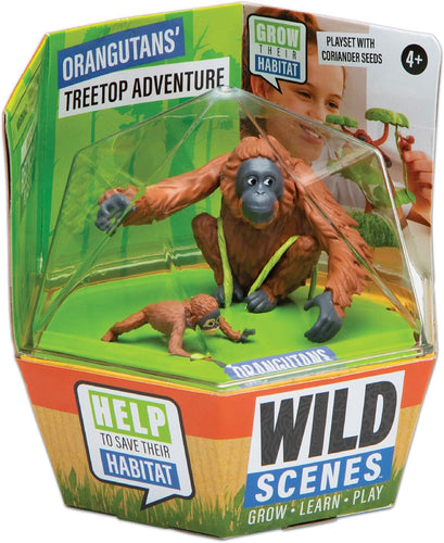 PlayMonster - Wild Scenes: Orangutans’ Treetop Adventure Grow & Play Kit
