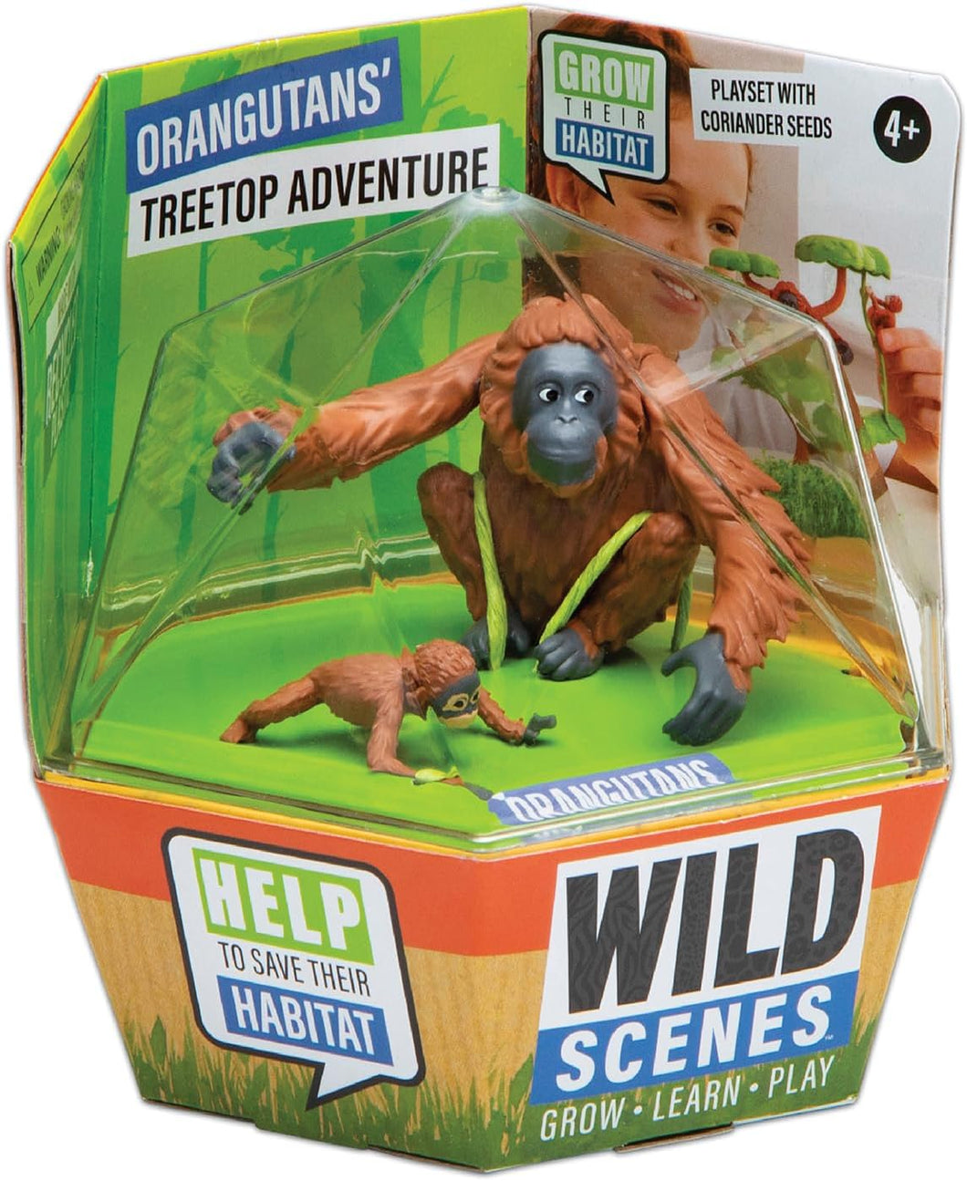 PlayMonster - Wild Scenes: Orangutans’ Treetop Adventure Grow & Play Kit