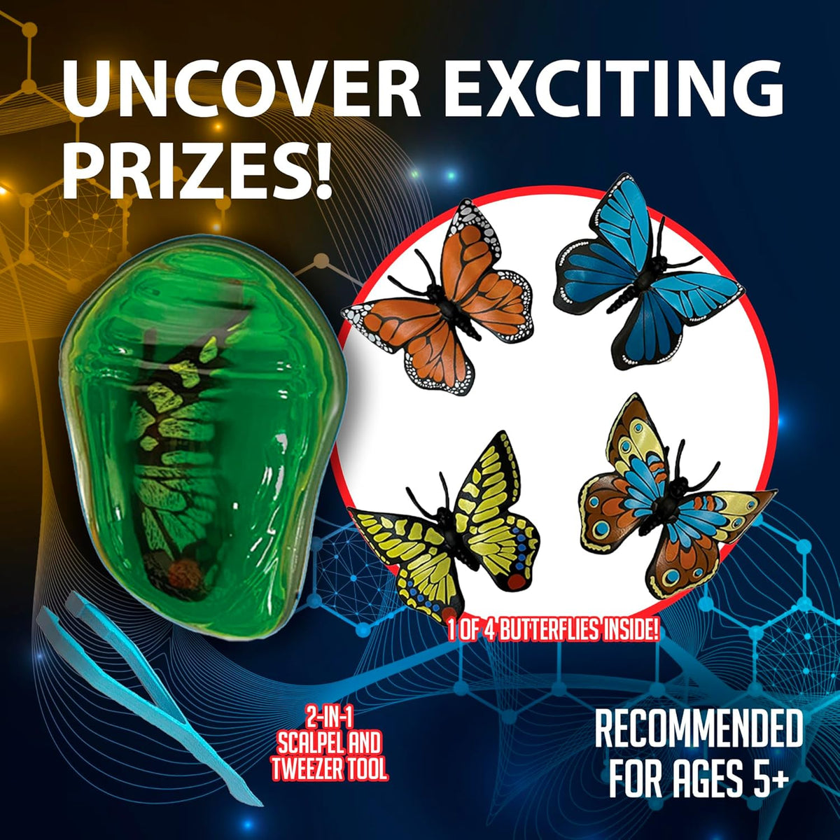 Dissect-It Mini Butterfly Chrysalis Lab – Myriads Gifts