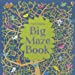 Big Maze Book Paperback